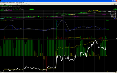asys125__Large_.PNG