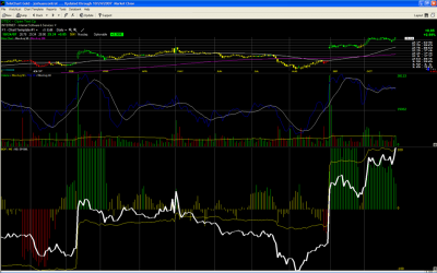 otex1024__Large_.PNG