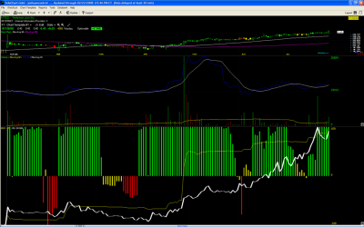 ntes1sttinybuy__Large_.PNG