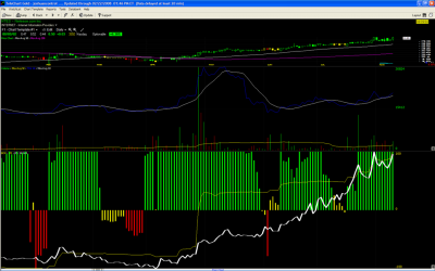 ntes2ndtinybuy__Large_.PNG